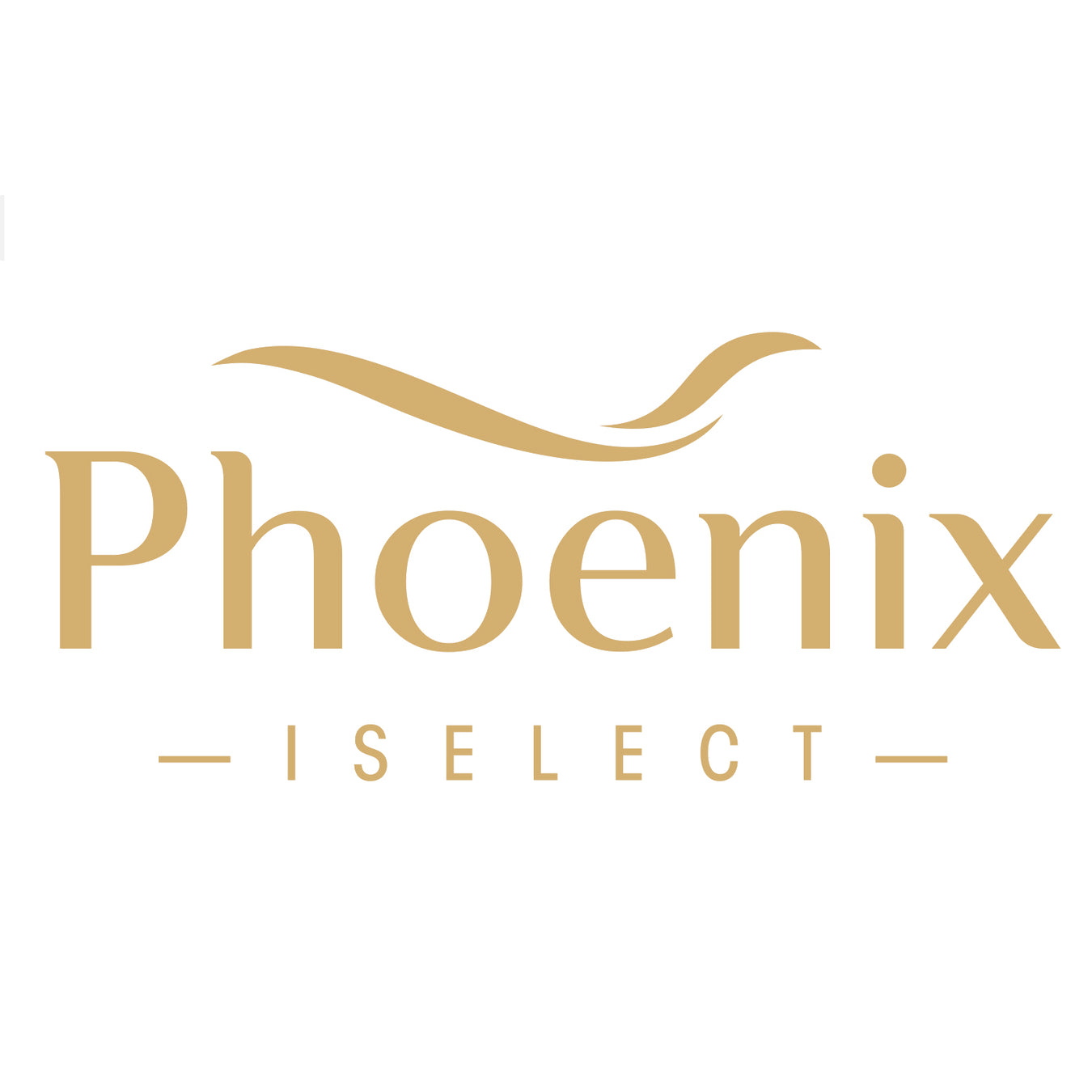 Phoenix iSelect Logo